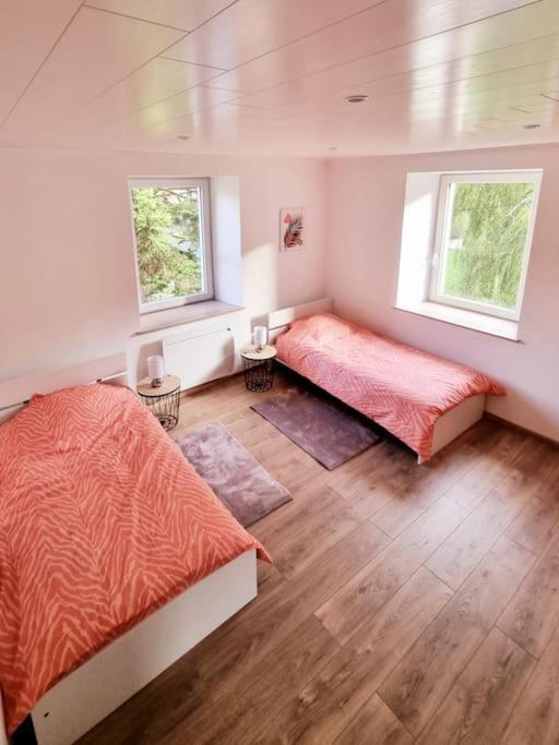 Appartement Chaleureux 80M2 Orbey Kültér fotó