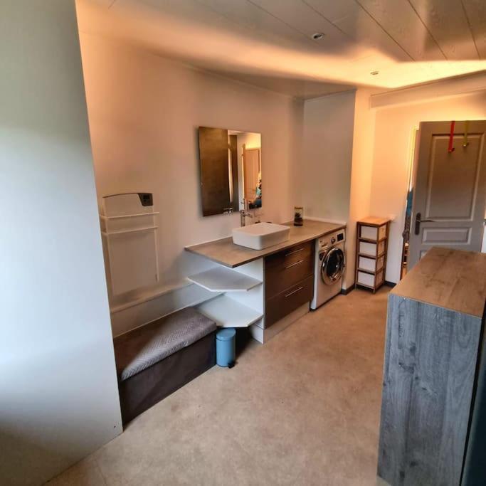 Appartement Chaleureux 80M2 Orbey Kültér fotó