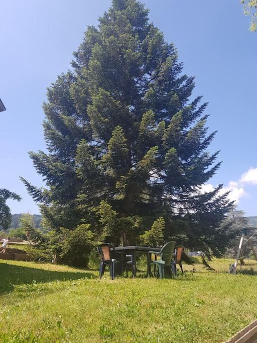 Appartement Chaleureux 80M2 Orbey Kültér fotó