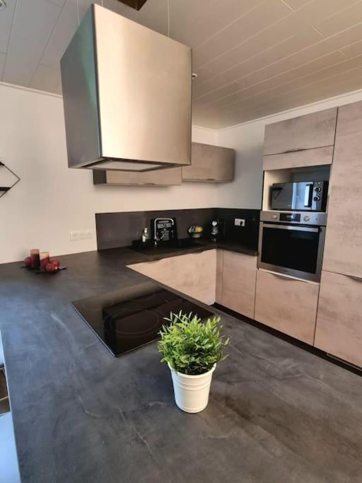 Appartement Chaleureux 80M2 Orbey Kültér fotó